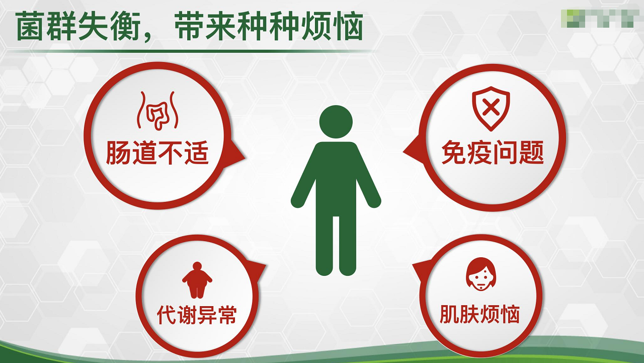 益生菌固體飲料到加工