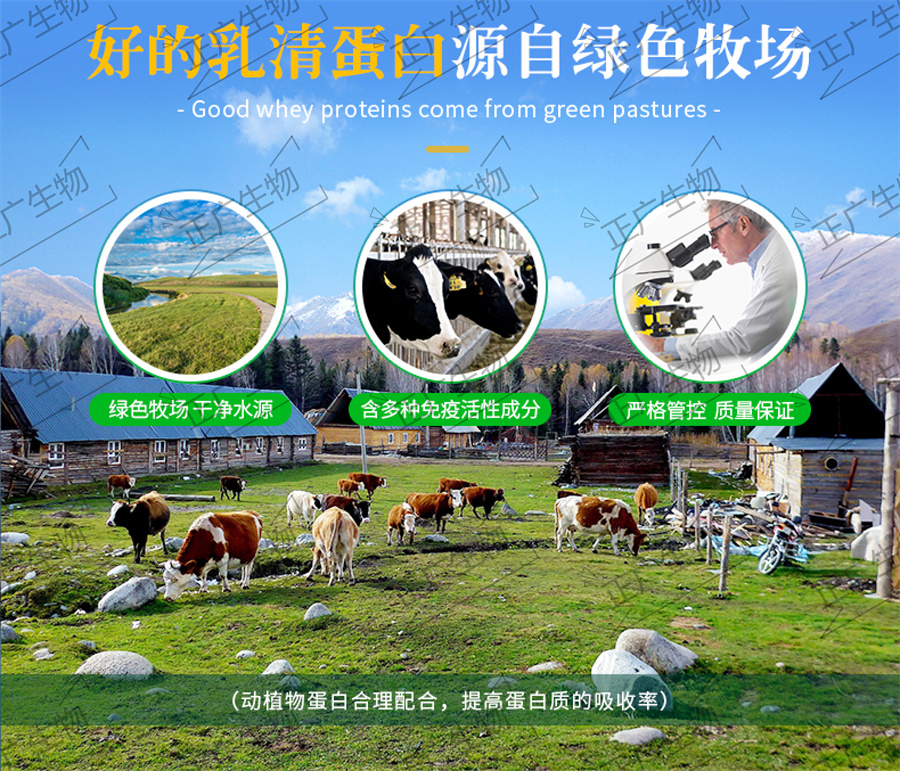 乳清蛋白固體飲料代工廠